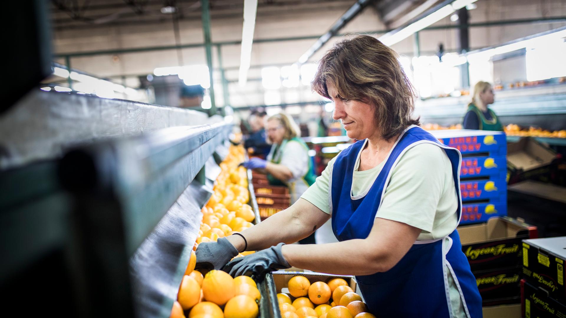 Eine Arbeiterin verpackt Orangen an einem Fliessband. 