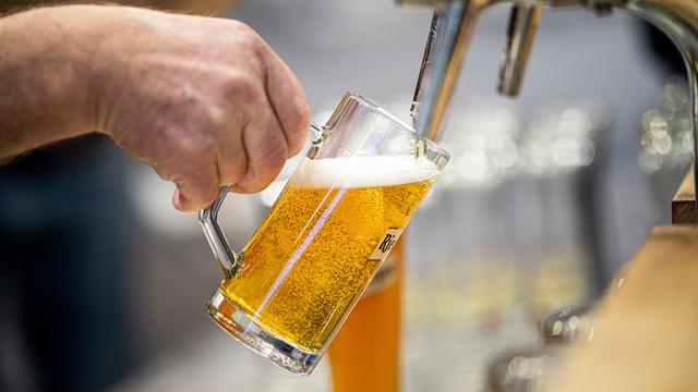 Ein Bier wird in einer Berliner Kneipe an einem Hahn in einen Glaskrug gezapft.