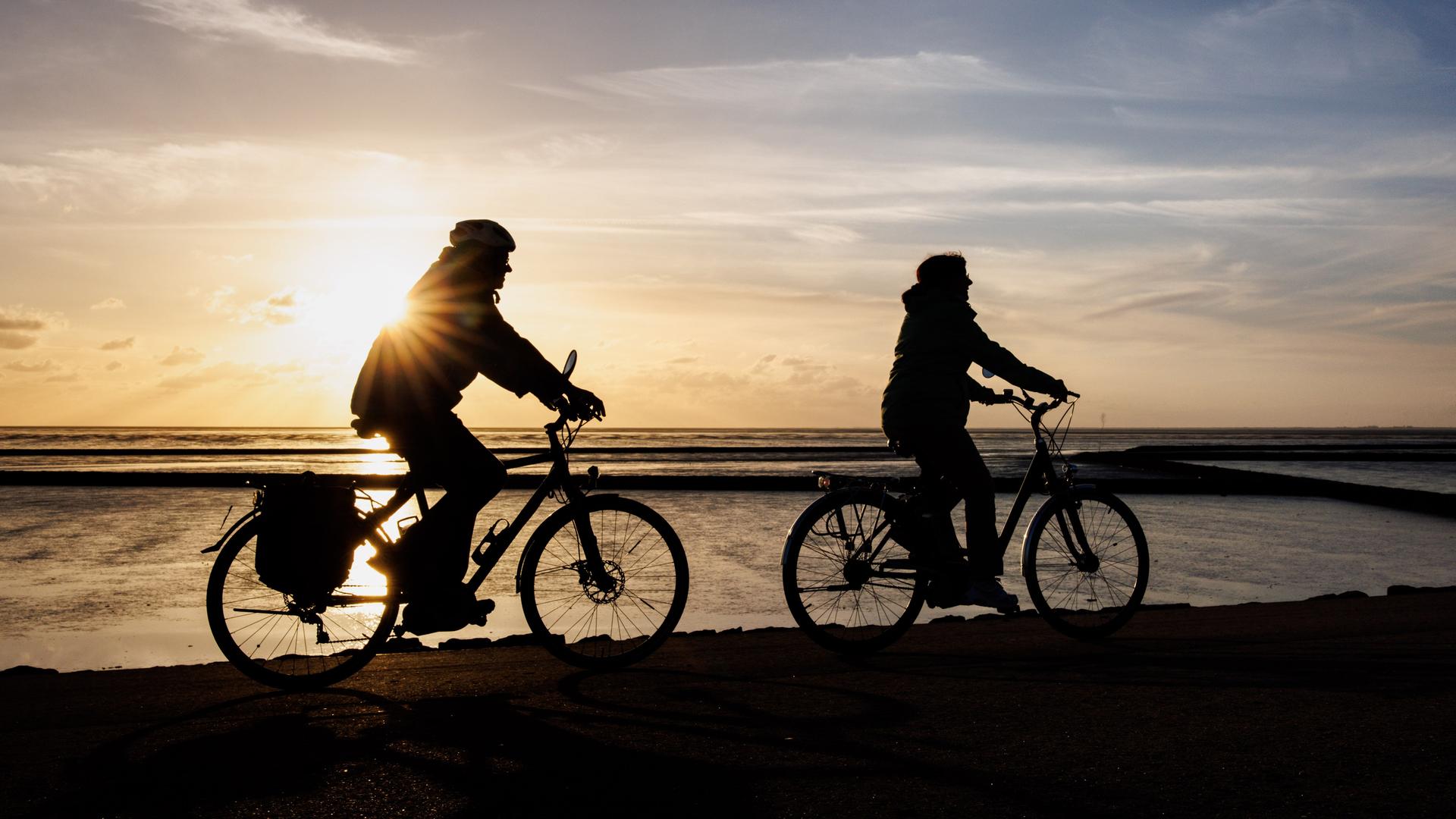 Zwei Radfahrer fahren am Deich bei Norddeich in Niedersachsen am Wattenmeer entlang