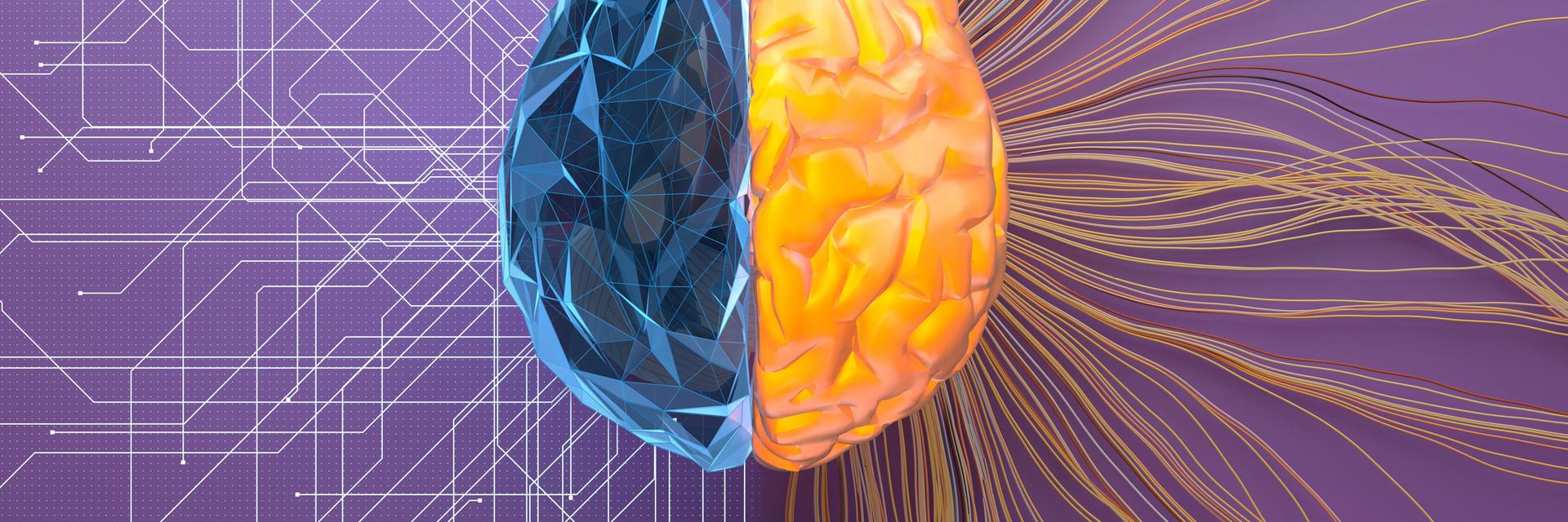 3D-Illustration eines Gehirns auf violettem Untergrund