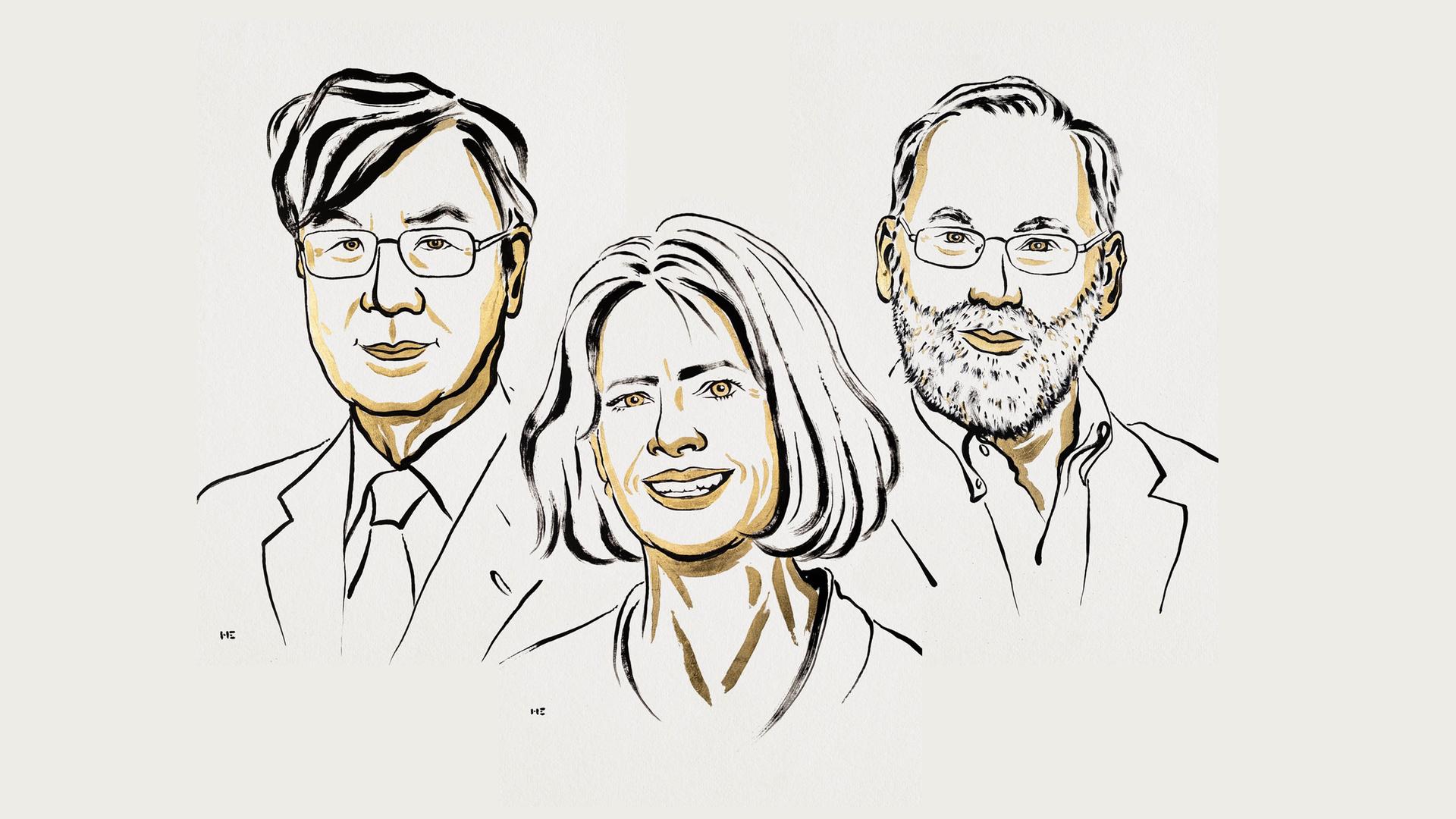 Eine Illustration zeigt die Gewinner des Medizin-Nobelpreises 2025.