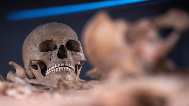 Ein menschlicher Schädel wird behutsam abgelegt.