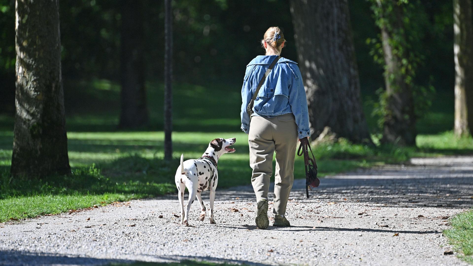Eine Frau geht mit ihrem Hund im Park spazieren, man sieht sie von hinten