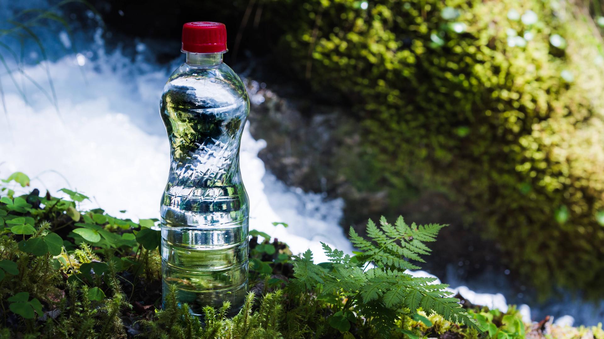 Eine Flasche mit sauberem Wasser mit rotem Deckel steht im Gras und Moos vor dem Hintergrund eines klaren Bergflusses. 