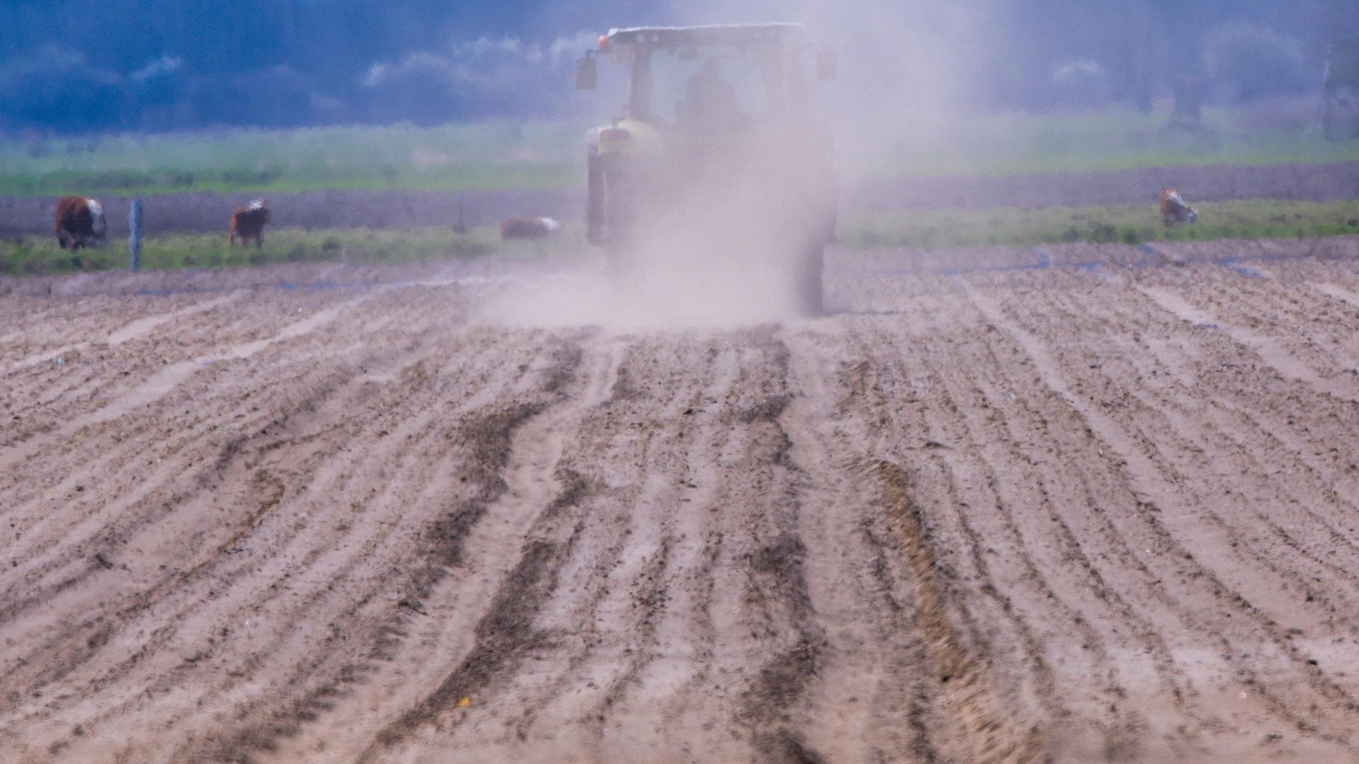 Ein Traktor fährt über einen Acker und wirbelt eine Staubwolke auf. Fehlender Regen und kräftige Winde, die den Boden austrocknen, bereiten den Landwirten in Norddeutschland zunehmend Sorgen.
